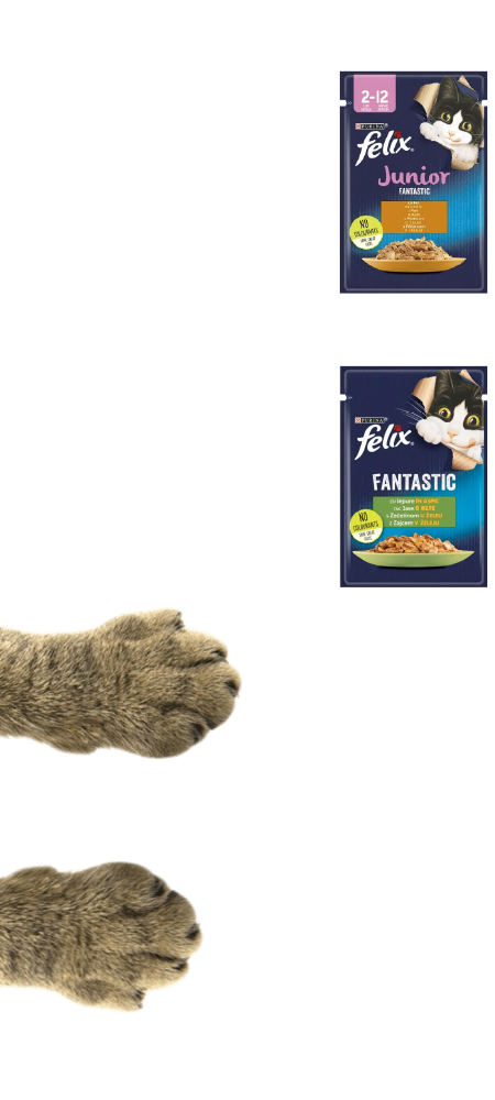 PURINA LEVO