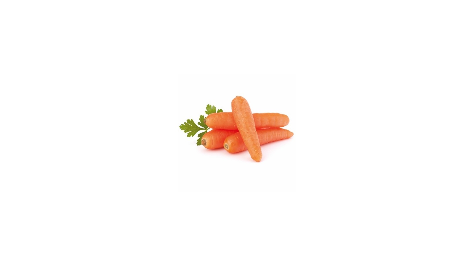 Šargarepa 1kg - Cenoteka