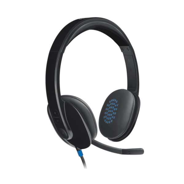 LOGITECH slušalice H540 USB