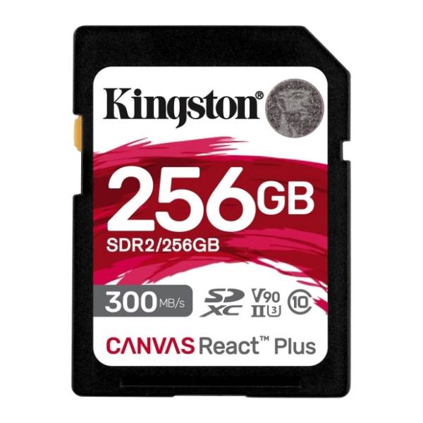KINGSTON memorijska kartica 256GB SDR2/256GB