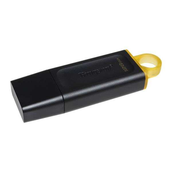 KINGSTON USB flash memorija 128GB DTX/128GB