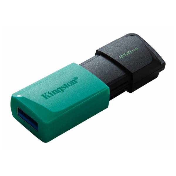 KINGSTON USB flash memorija 256GB DTXM/256GB