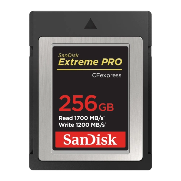 SanDisk memorijska kartica 256GB SDCFE-256G-GN4N