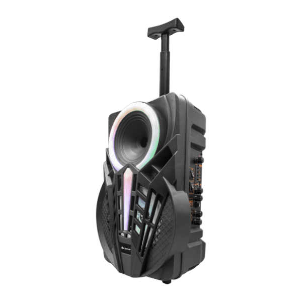 DENVER partybox zvučnik TSP-301