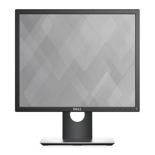 DELL monitor P1917S