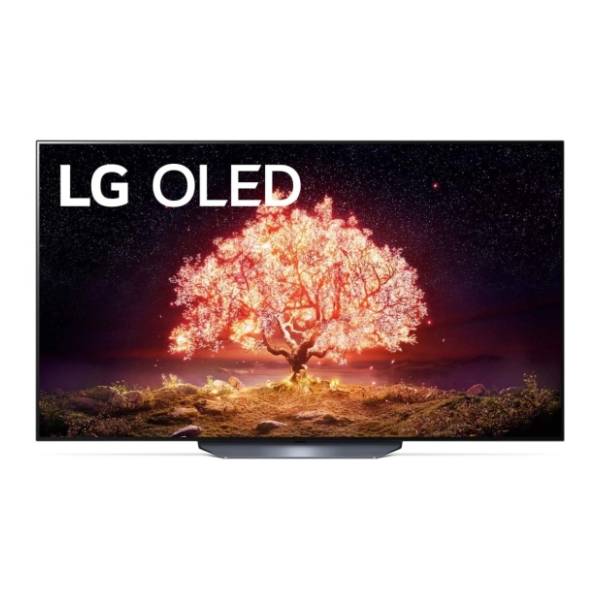 LG OLED televizor OLED65B13LA