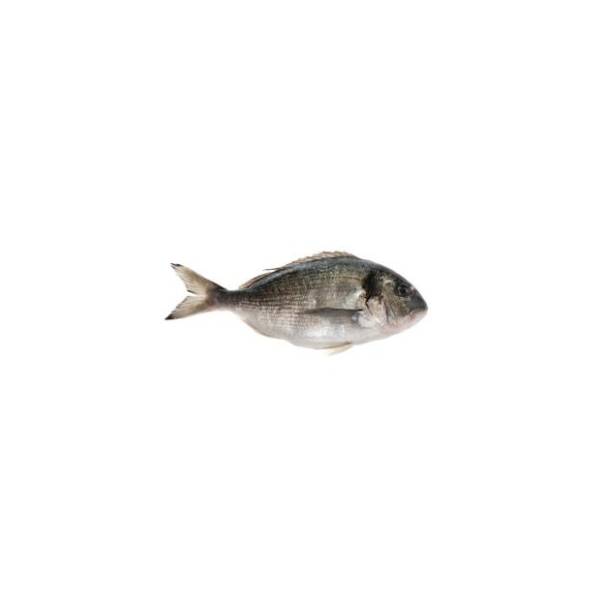 Orada 1kg