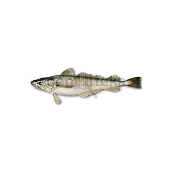 Oslić 1kg