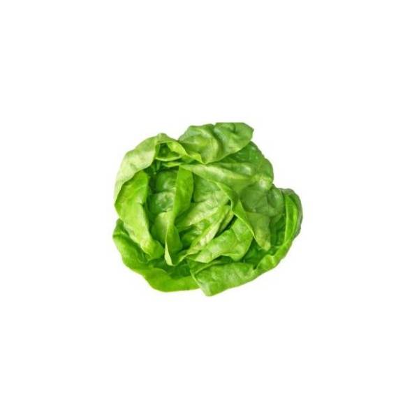Zelena salata 1kg