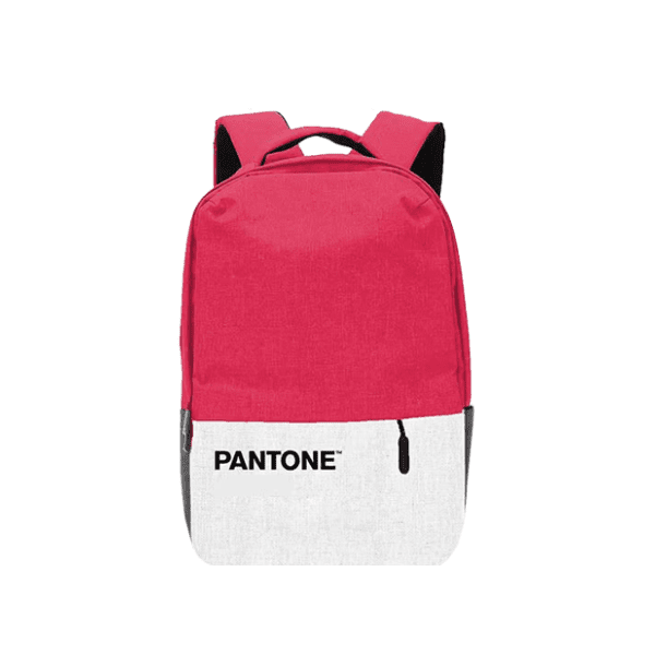 PANTONE ranac za laptop PT-BK198P 15.6" roze