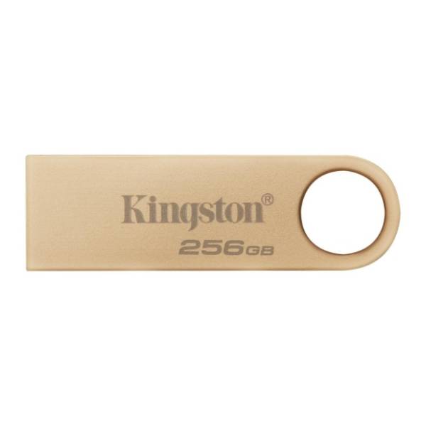 KINGSTON USB flash memorija 256GB DTSE9G3/256GB