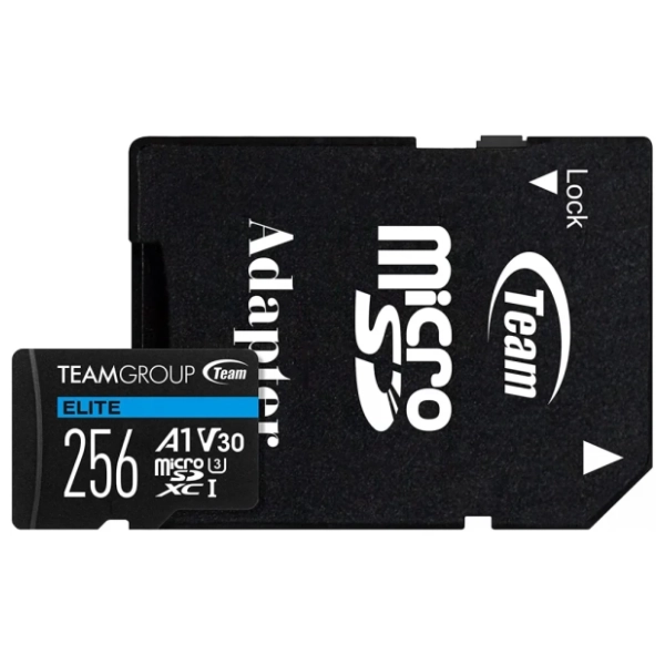 TEAM GROUP memorijska kartica 256GB TEAUSDX256GIV30A103