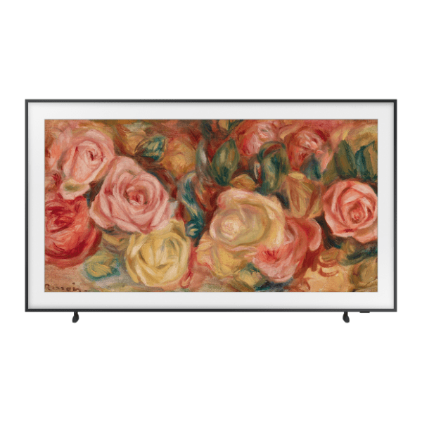 SAMSUNG QLED televizor QE65LS03DAUXXH
