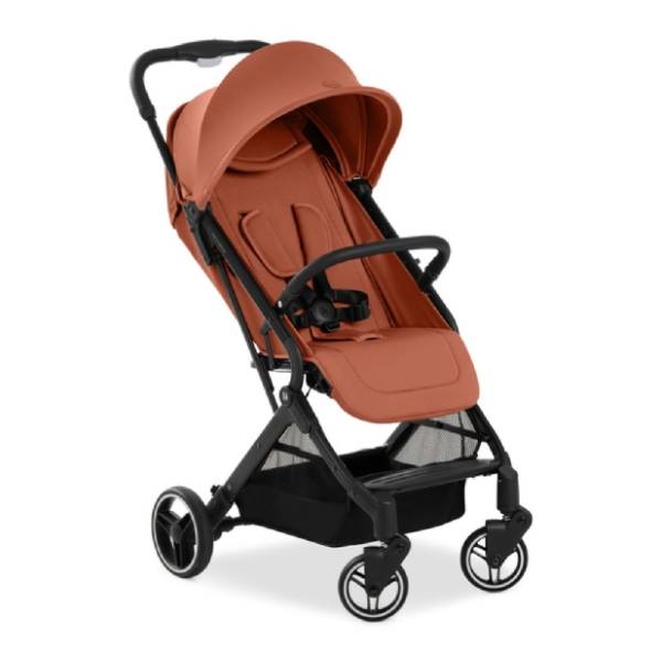 HAUCK kolica za bebe Travel N Care Plus Cork