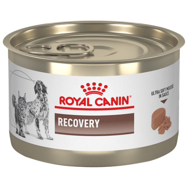 ROYAL CANIN Recovery hrana za pse i mačke 195g