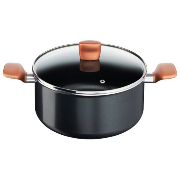 TEFAL ekspres lonac sa poklopcem B2554602