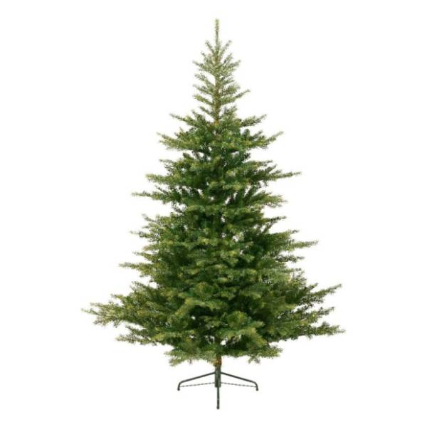 Novogodišnja jelka Grandis fir 180cm Everlands