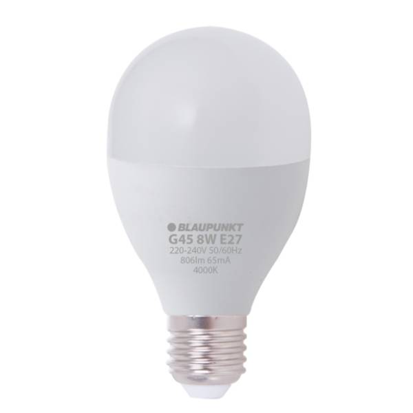 BLAUPUNKT LED sijalica E27 8W LDBLBU005