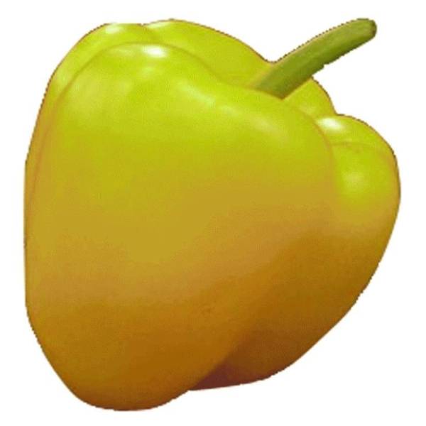 Paprika babura trikolori 500g