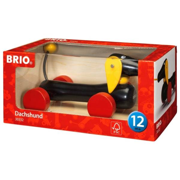 Pas na potez 	BRIO