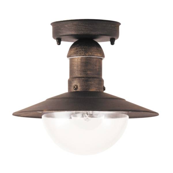 RABALUX spoljno plafonsko svetlo 60W E27 fi 24cm Oslo 8736