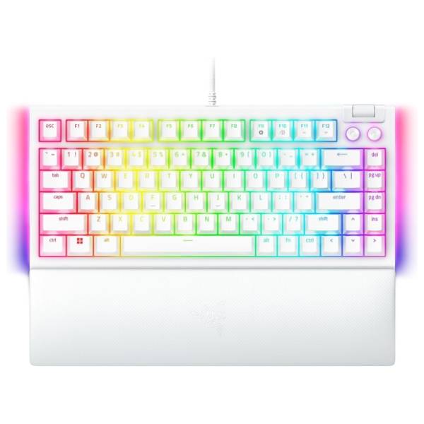 RAZER tastatura BlackWidow V4 X White