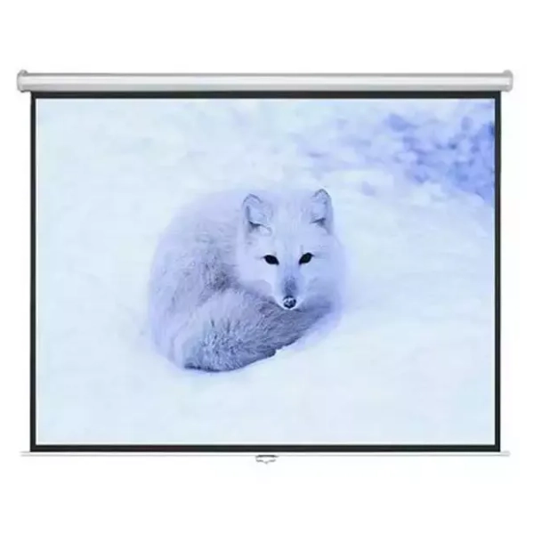 VISION platno za projektor 150x150