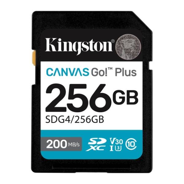 KINGSTON memorijska kartica 256GB SDG4/256GB
