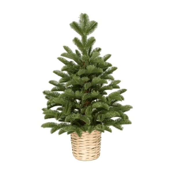 Novogodišnja jelka u saksiji  90cm