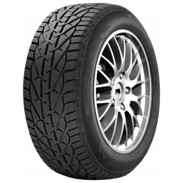 TAURUS zimska guma Winter 195/65 R15 91H
