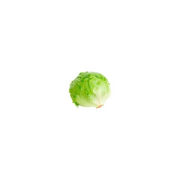 Ajsberg salata 1kom
