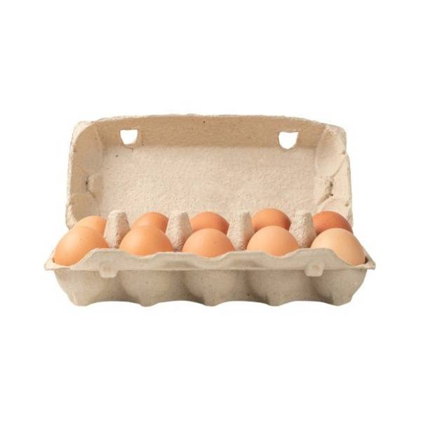 Jaja klasa S AGRO ĐOLE 10kom