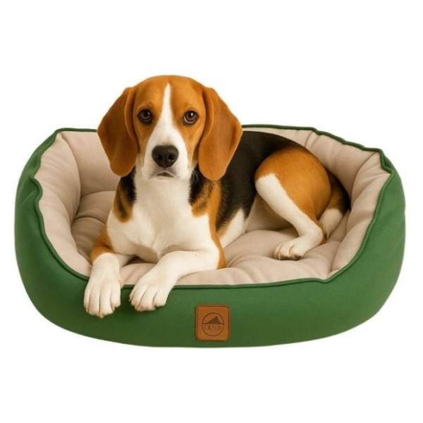 PAWS & WHISKERS Coco Summer krevet za ljubimce M zeleni
