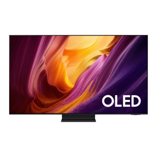 SAMSUNG OLED televizor QE55S95HFTXXH