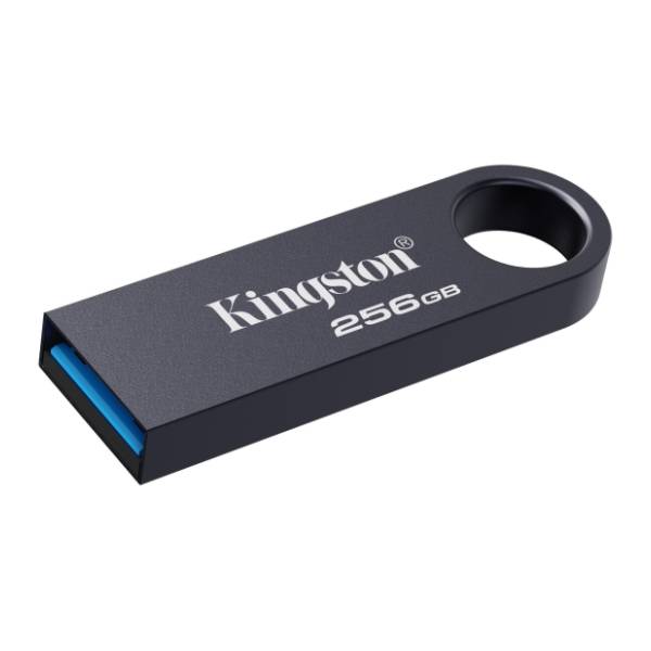KINGSTON USB flash memorija 256GB DataTraveler SE9 G3 (KE-U2X256-1AC)