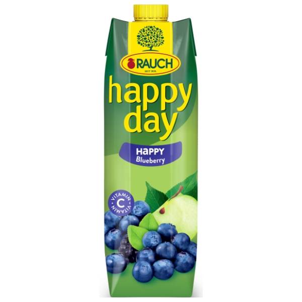 Voćni sok HAPPY DAY borovnica 1l