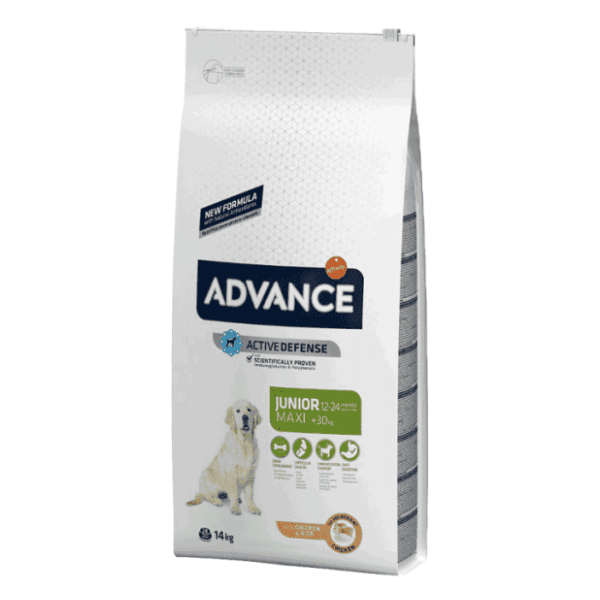 ADVANCE Maxi junior hrana za pse piletina pirinač 14kg