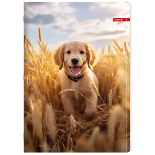 Sveska A4 dikto ILIJANUM Pets 52lista 1kom (više vrsta)