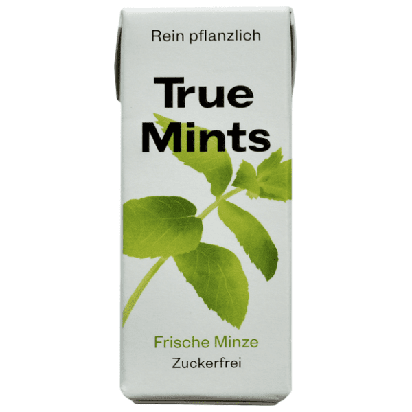 Bombone TRUE MINTS Fresh mint 13g