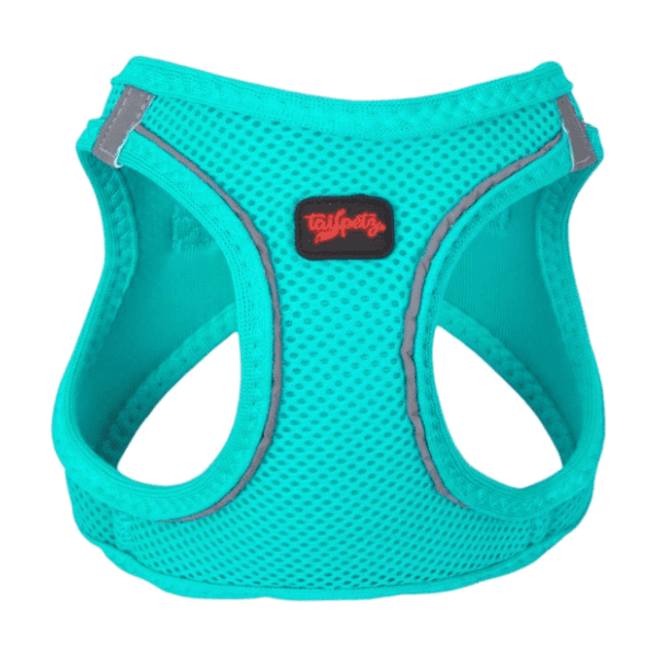 PAWS & WHISKERS Air mesh am za pse M svetloplavi