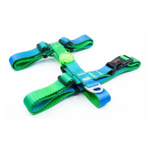 PAWS & WHISKERS Amazon am za pse XS