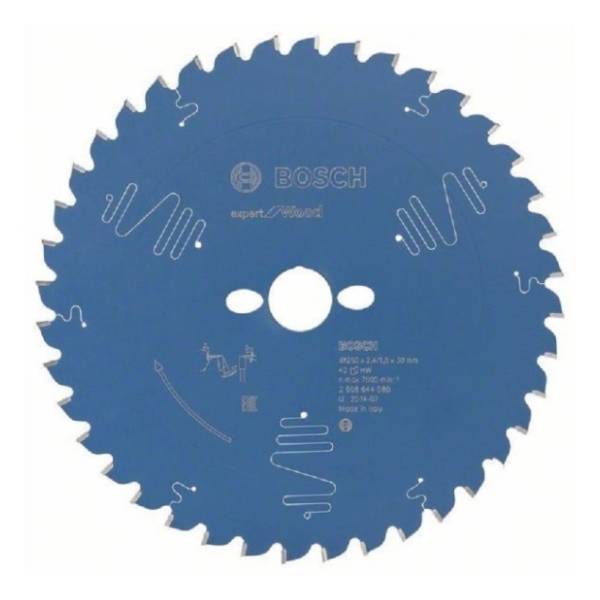 BOSCH Expert for Wood list testere 250mm 2608644080