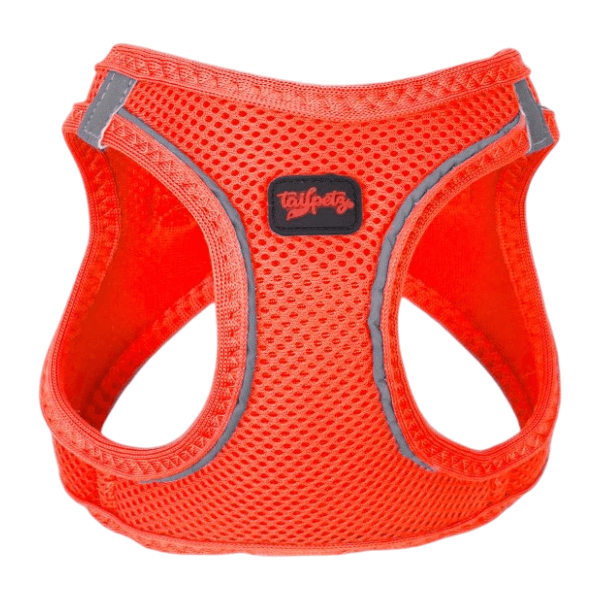 PAWS & WHISKERS Air Mesh Neo am za pse S narandžasti