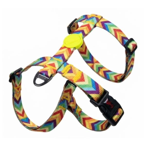 PAWS & WHISKERS Rainbow am za pse XS šareni