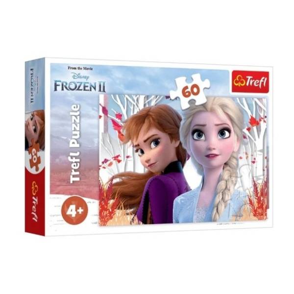 Puzzle magični svet Ane i Elze TREFL