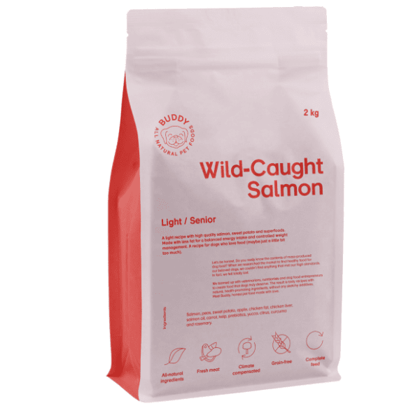 BUDDY Wild caught hrana za pse salmon 2kg