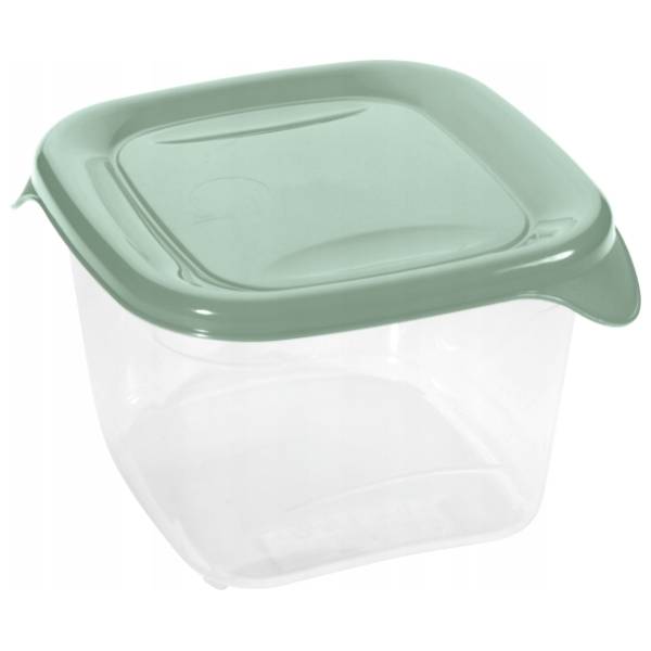CURVER kutija za hranu četvrtasta Fresh & go 0,45l