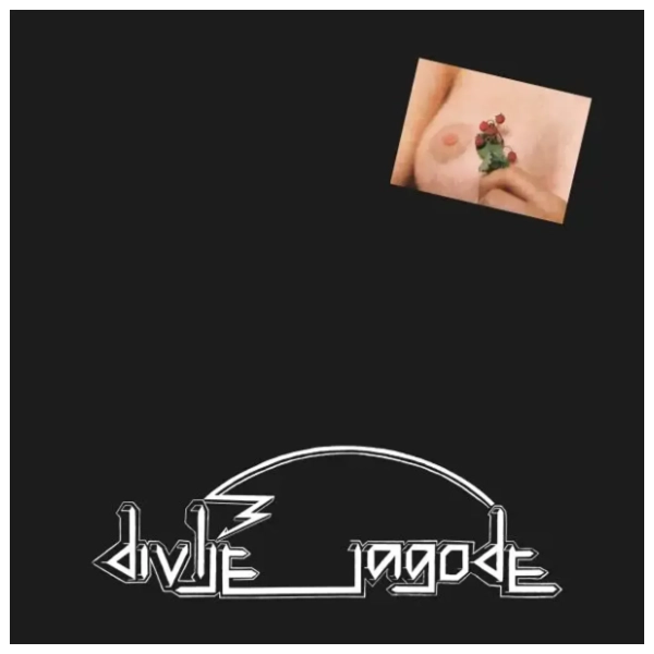 Divlje Jagode - Divlje Jagode