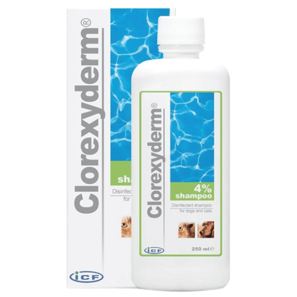 ICF Cloroxyderm 4% šampon za pse i mačke 250ml