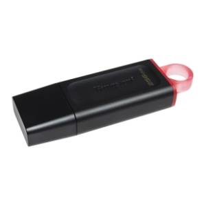 KINGSTON USB flash memorija 256GB DTX/256GB